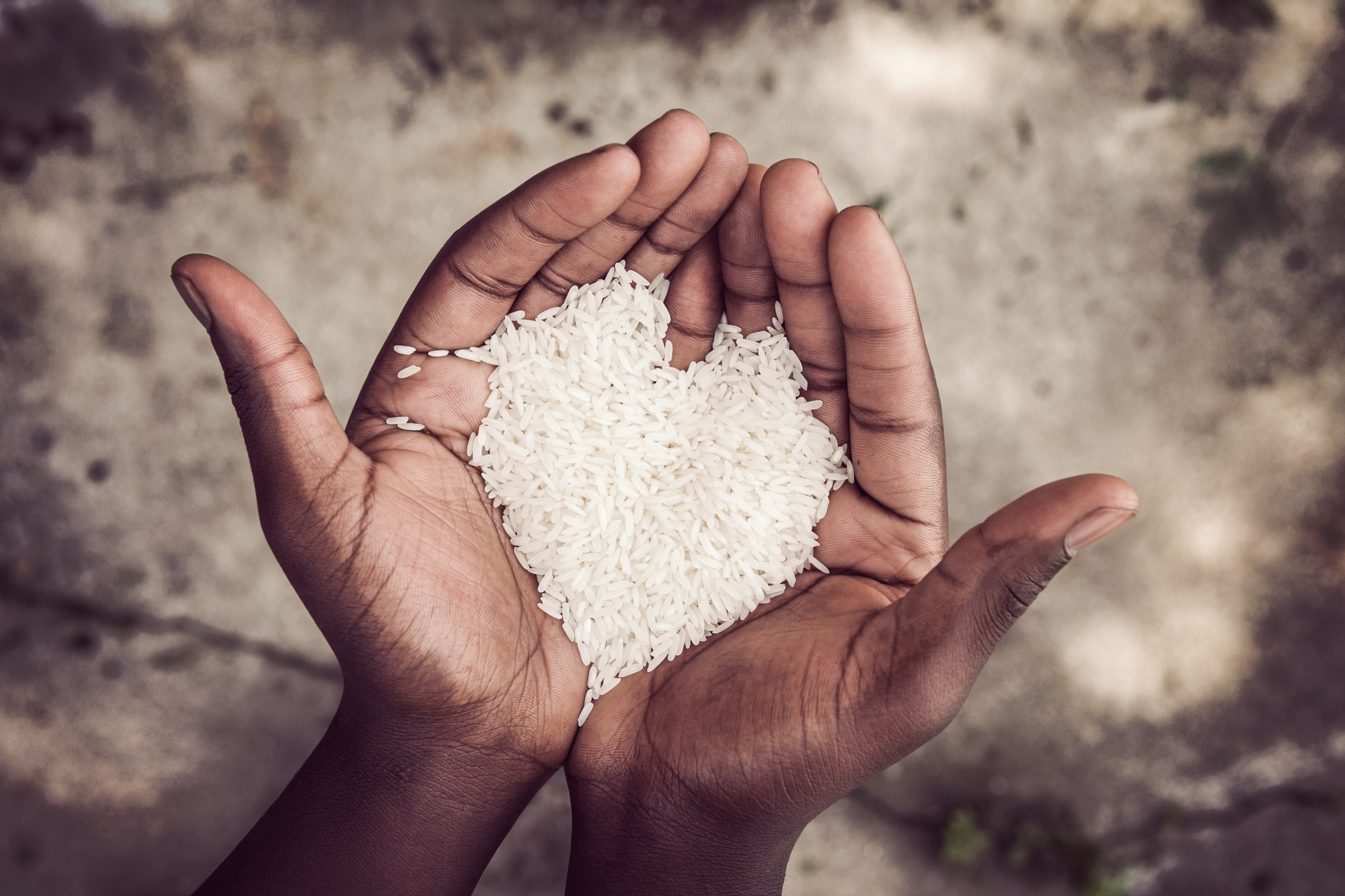 rice in hand