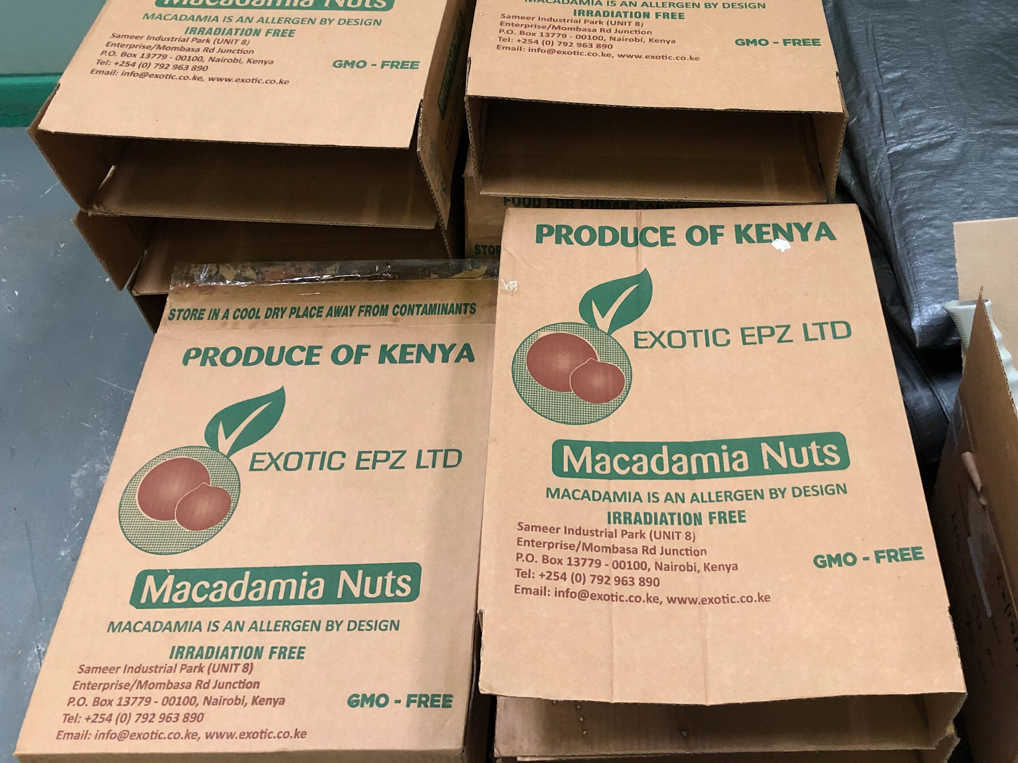 macadamia nut exports