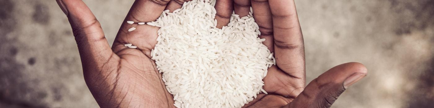 Rice in Hand