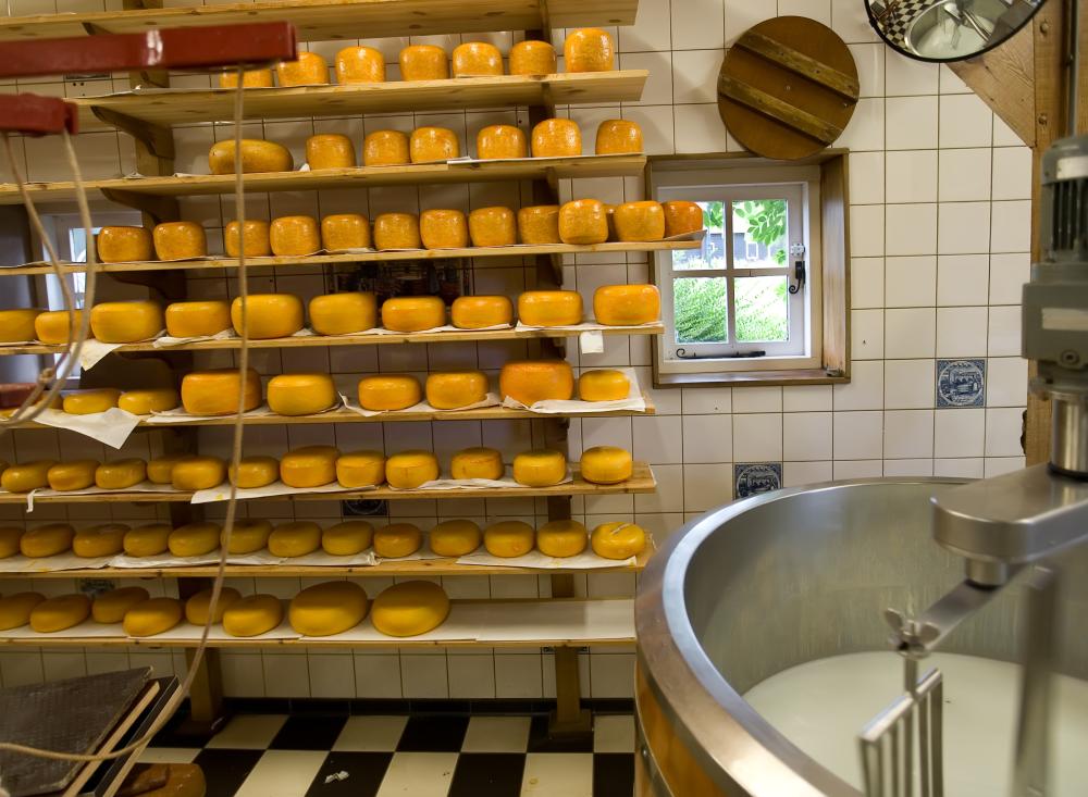 Rounds of cheese on a shelf next to milk machine