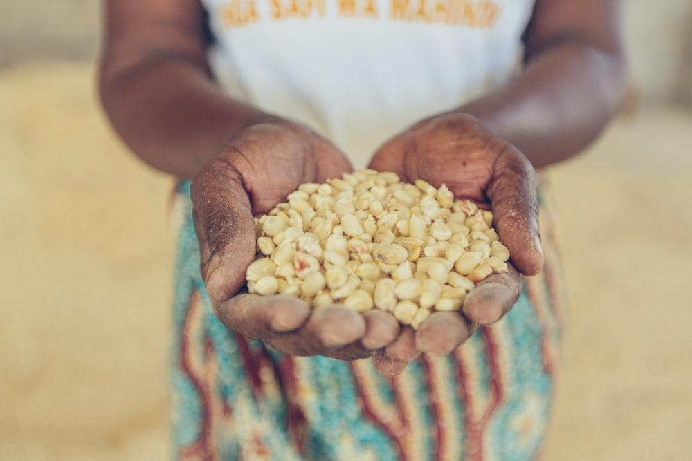 Women holding handful of corn