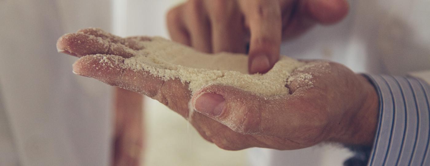 Hand holding grain