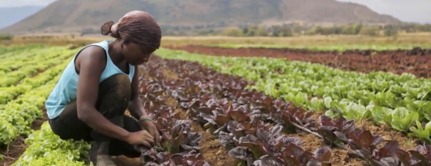 Female farmer