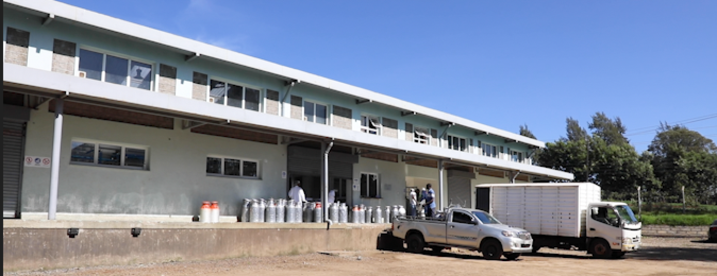 Dairy in Kenya