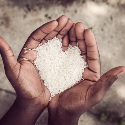 rice in hand