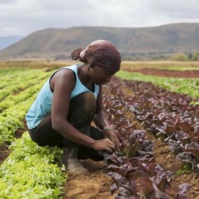 Female farmer