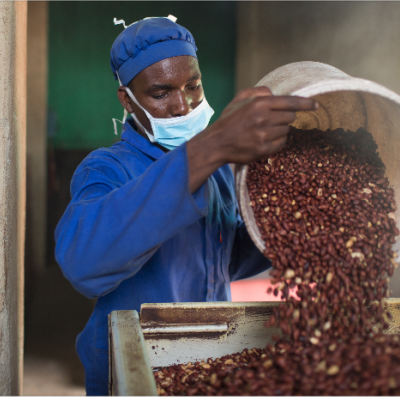 Man roasting peanuts